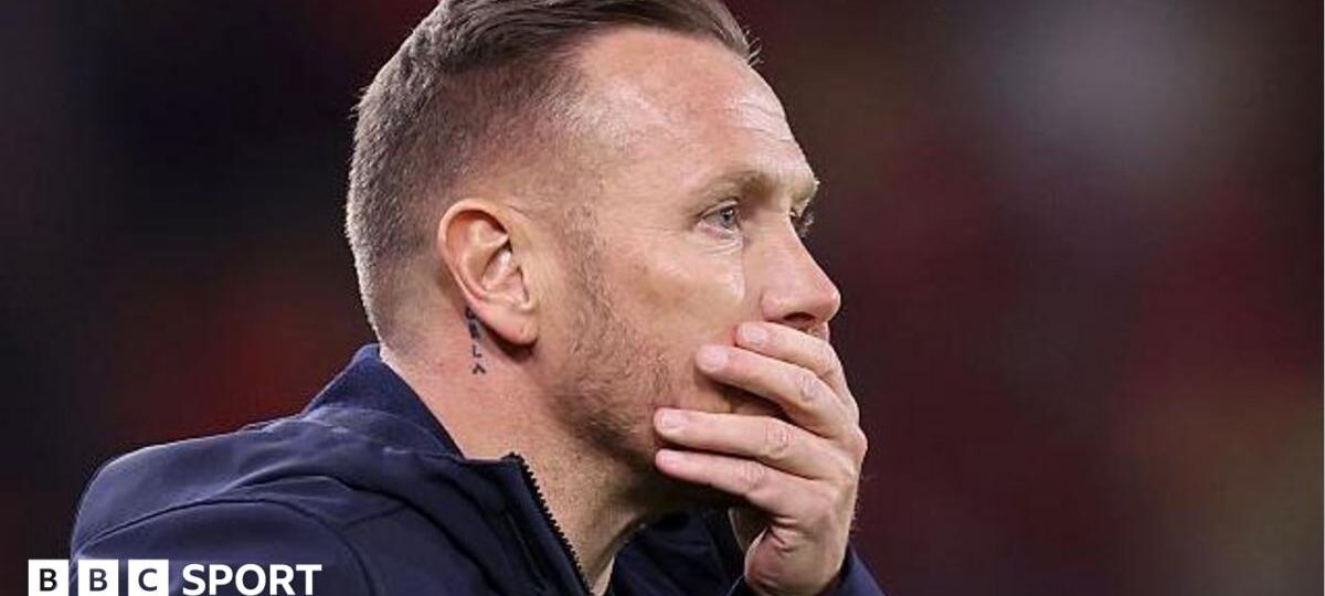 Wales boss Bellamy has 'burned bridges' - Roberts