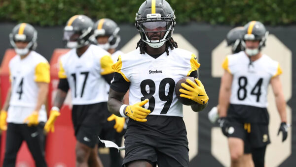 Steelers release veteran wide receiver