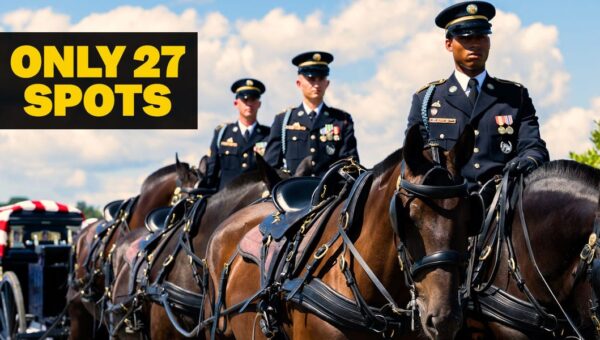 What Army horse soldiers go through in Arlington funeral training