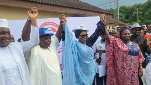 2027: Ogun PDP names veteran journalist, Yemi Sowunmi-Kolapo as deputy governorship candidate