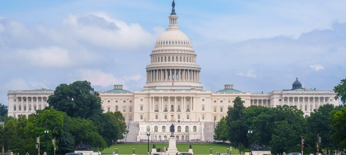 Golden domes, historic statues, and nods to state flags: What the capitol looks like in every state
