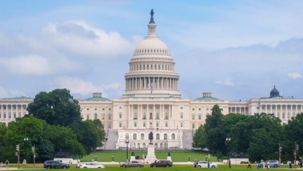 Golden domes, historic statues, and nods to state flags: What the capitol looks like in every state