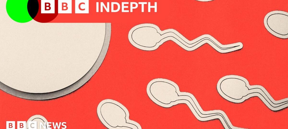 What we miss when we ignore male infertility