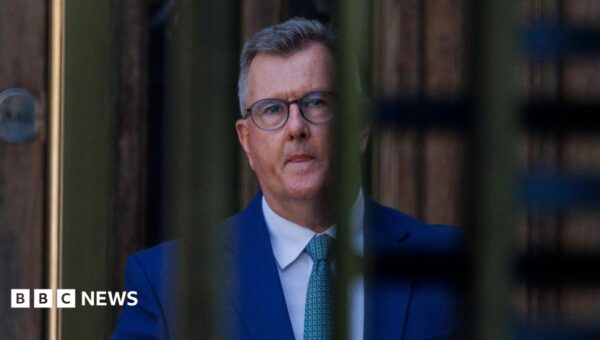 Donaldson’s downfall shakes NI’s battle-hardened political landscape