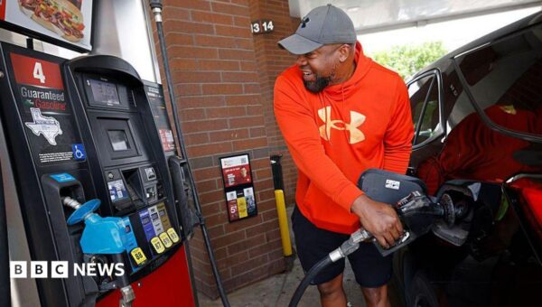 Oil price falls to levels not seen since before Iran war