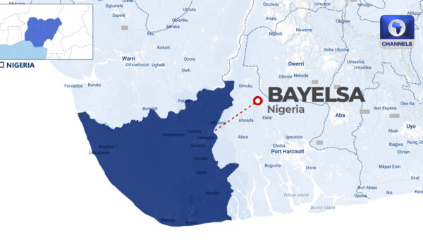 Nigeria Must Invest In Biotechnology To Secure Future, Experts Warn