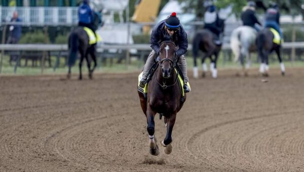 Golden Tempo Repeats Kentucky Derby Magic at Belmont Stakes, But Many Reject Legendary Horse Comparison