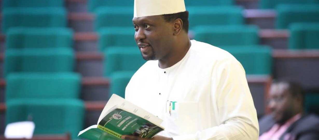 Nigeria-Niger relations must improve for security – Dasuki