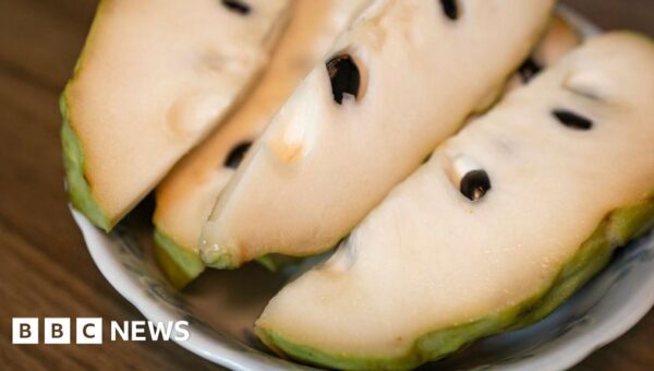 China’s import of custard apples is sparking fears in Taiwan