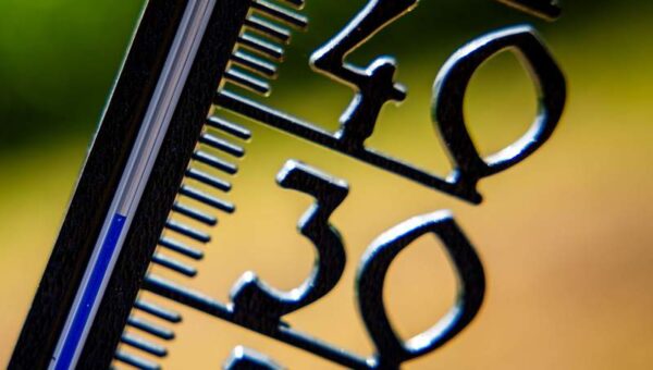 UN climate agency warns of extreme heat during the World Cup