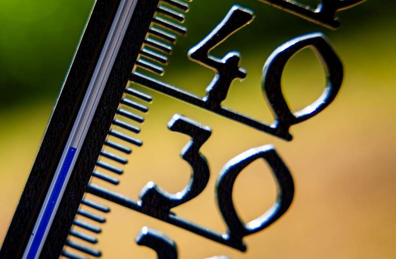 UN climate agency warns of extreme heat during the World Cup