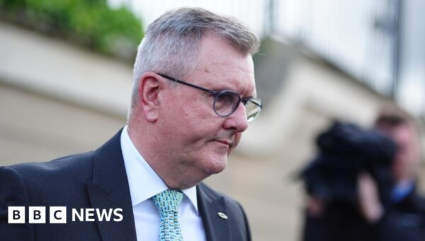 From Parliament to prison – the fall of Jeffrey Donaldson