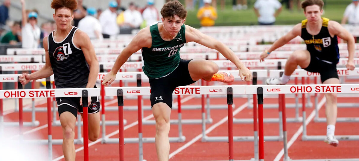 Barnett leads area contingent's OHSAA state track effort with 4 All-Ohio medals