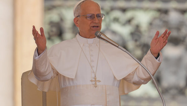 Pope Leo appoints two Nigerians to key Vatican roles