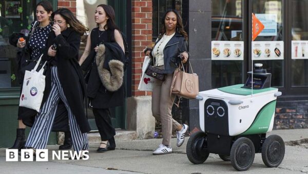 ‘We had to get out of the way’: The backlash over delivery robots
