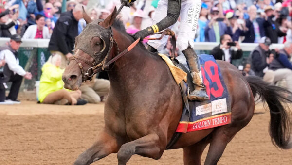 Kentucky Derby winner Golden Tempo wins Belmont Stakes 2026