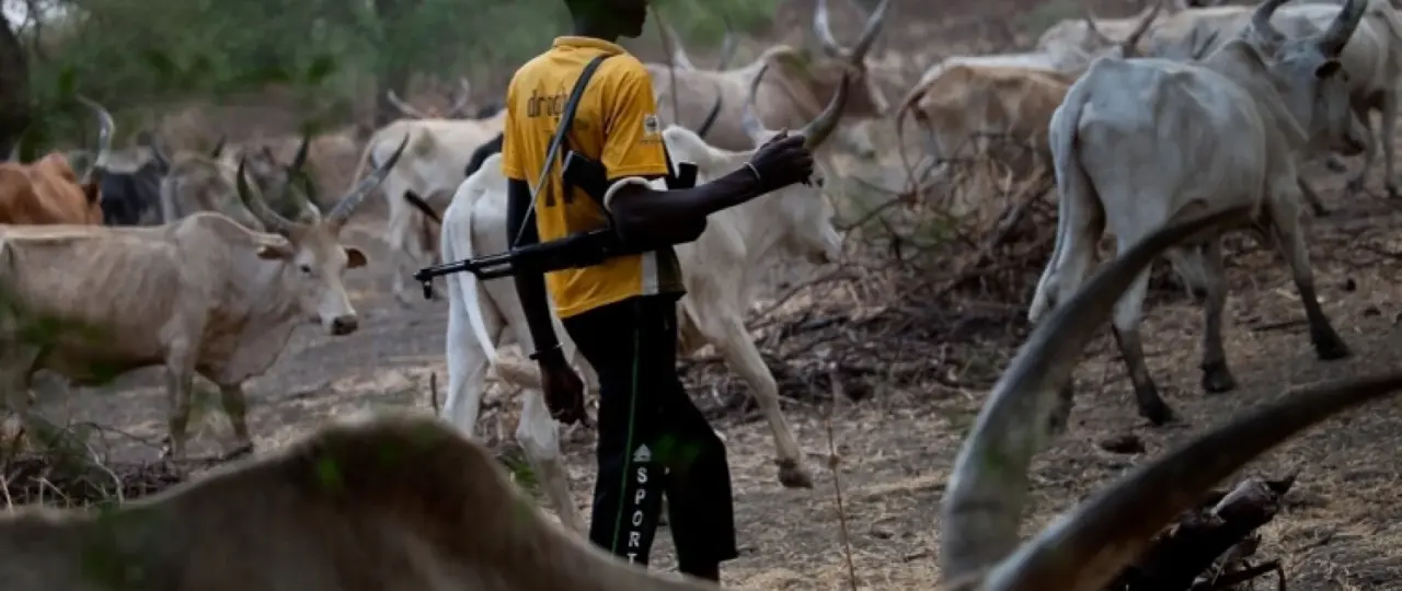 Insecurity: Fulani group urges herders to deepen security cooperation in South-West