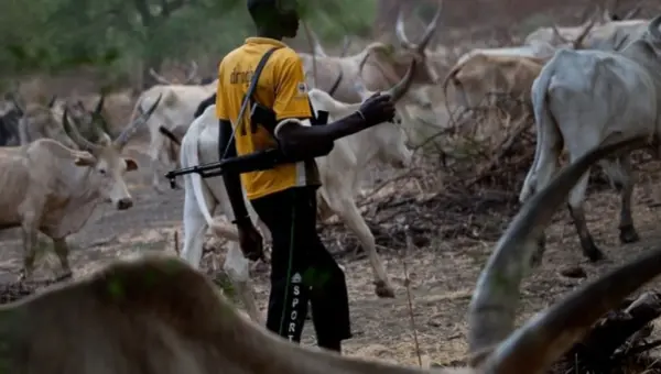 Insecurity: Fulani group urges herders to deepen security cooperation in South-West