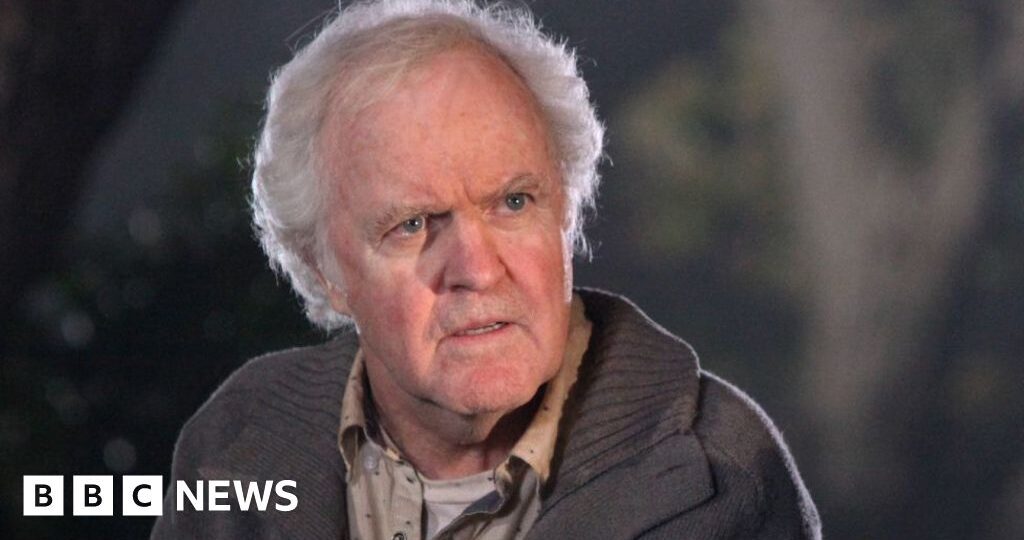 US actor James Handy stabbed to death, with girlfriend's son arrested