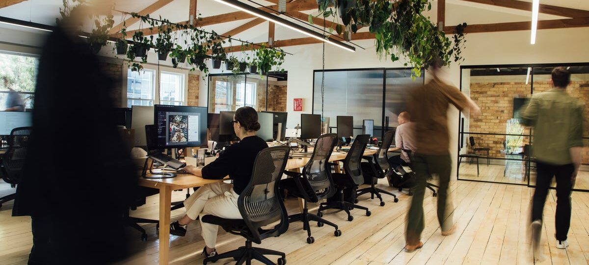 A company built a ‘Michelin-star workspace’ designed to reduce stress. It has indoor plants, massages, and a custom scent.