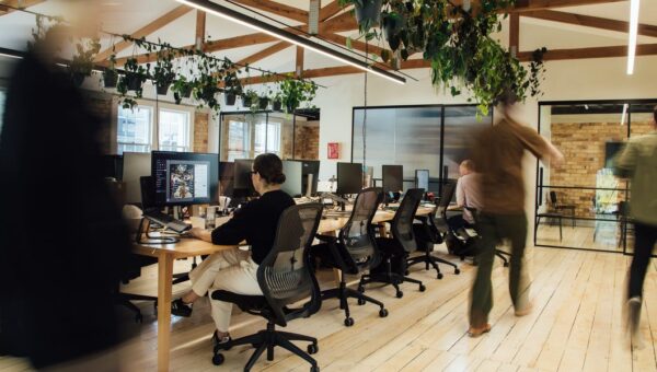 A company built a ‘Michelin-star workspace’ designed to reduce stress. It has indoor plants, massages, and a custom scent.