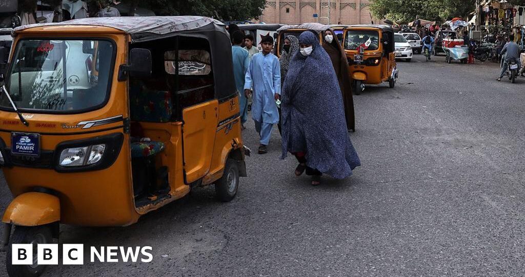 Two reportedly killed as women take part in rare protest in Afghanistan