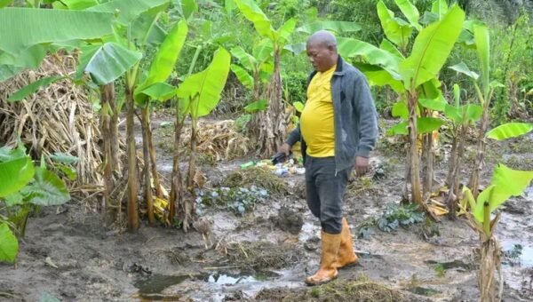 Homes, farms damaged as pipeline explosion rocks Abia community