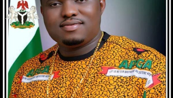 2027: Anambra lawmaker drags APGA, INEC to court over primary election result