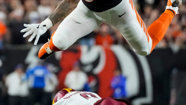 “I Love to Hit”: Cincinnati Bengals TE Excited After Injuries Derailed Past 4 Seasons
