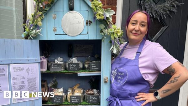 Cake sheds are making bakers £1,000 a week – but the dream might be over