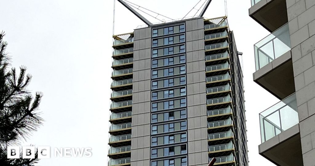 Family who died in high-rise flat block fall named