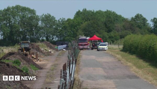 Pilot dies after plane crash near airfield