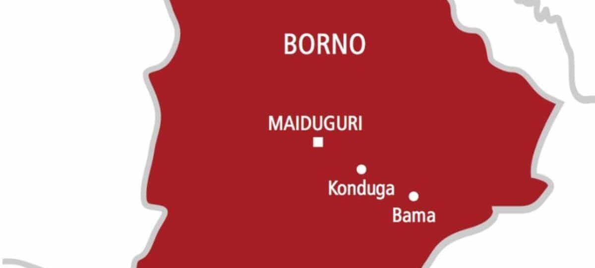 Borno stakeholders appeal for release of 42 abducted schoolchildren