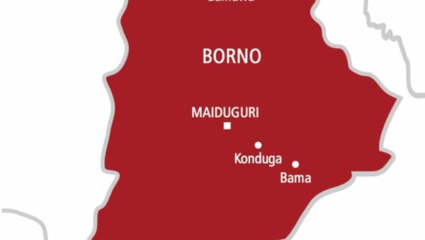 Borno stakeholders appeal for release of 42 abducted schoolchildren