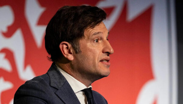 FAW chief expects Bellamy to remain Wales boss