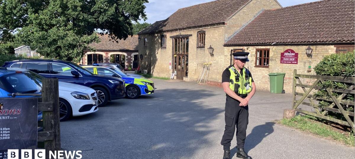 Investigation after up to 40 hospital staff access records of boy attacked by crocodile