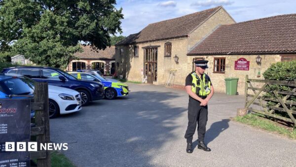 Investigation after up to 40 hospital staff access records of boy attacked by crocodile