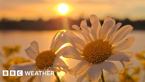 Weather for the week ahead