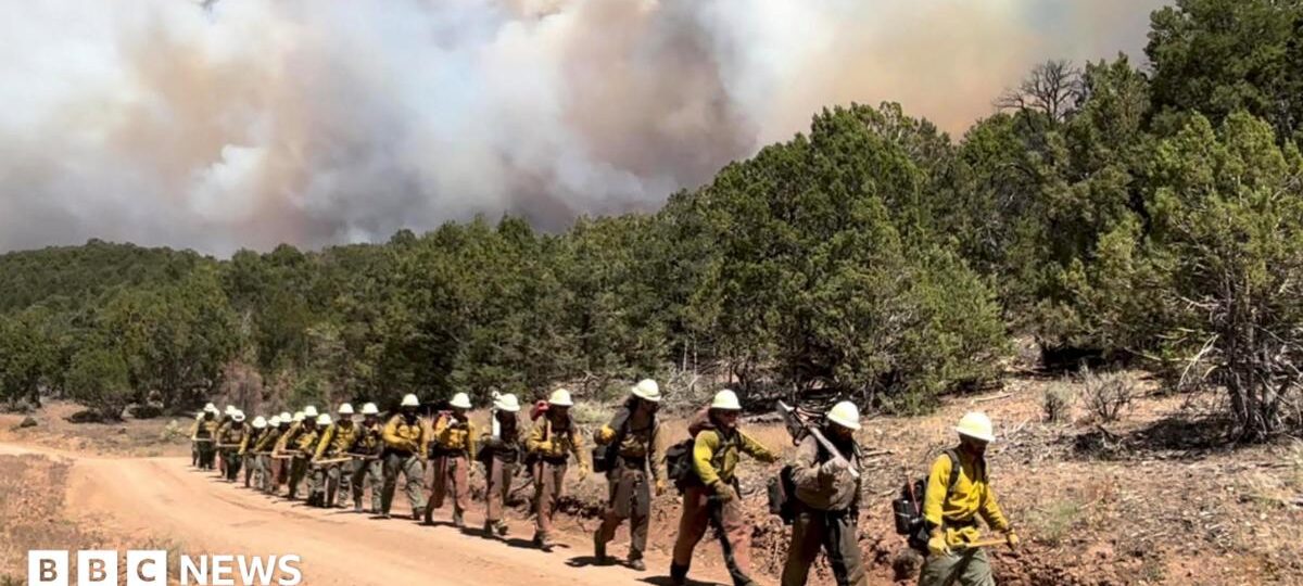 Three firefighters die battling huge wildfires on Colorado-Utah border