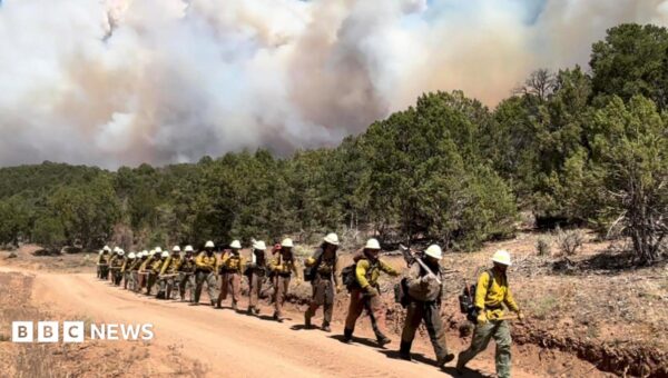 Three firefighters die battling huge wildfires on Colorado-Utah border
