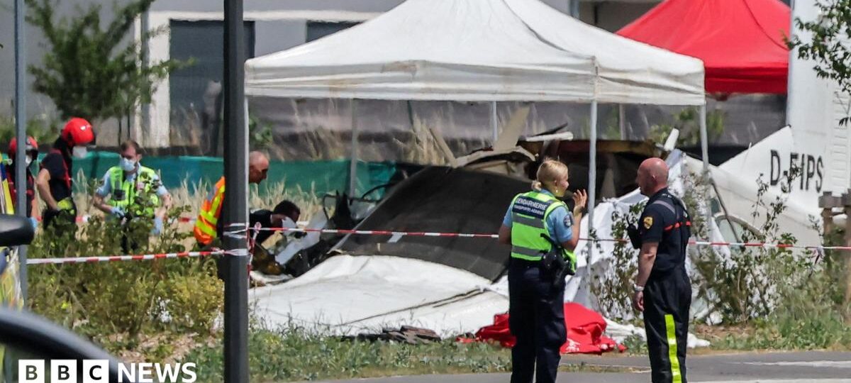 Eleven killed after plane carrying skydivers crashes in eastern France