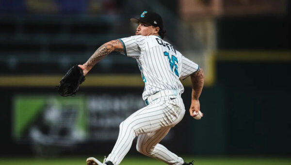 White Sox Minor League Update: June 3, 2026