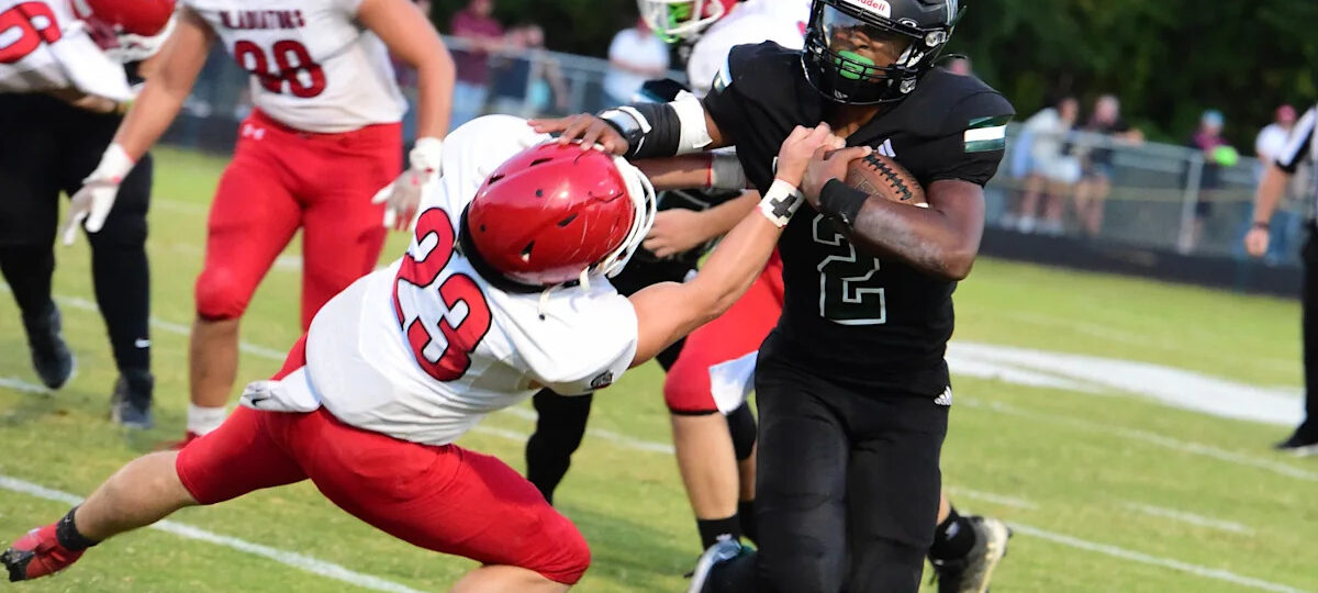 Who was the male athlete of the year? Vote now in The News Leader poll