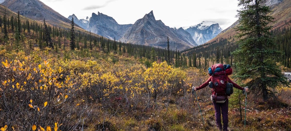 I've been to all 63 US national parks. These 4 are my favorites — but these 3 didn't impress me much.