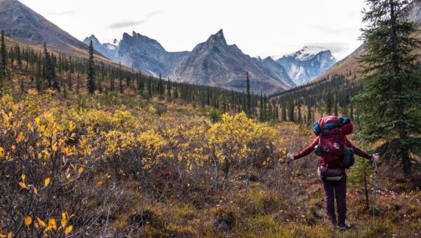 I've been to all 63 US national parks. These 4 are my favorites — but these 3 didn't impress me much.