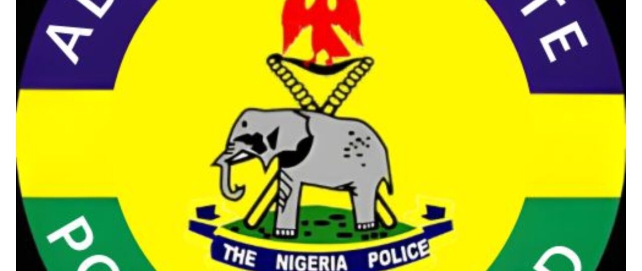 Police seize 117 vehicles over alleged number platesoffenses in Adamawa