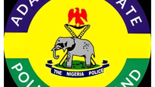 Police seize 117 vehicles over alleged number platesoffenses in Adamawa