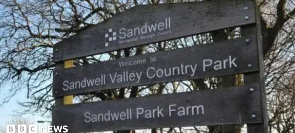 Body of missing woman found in park pool