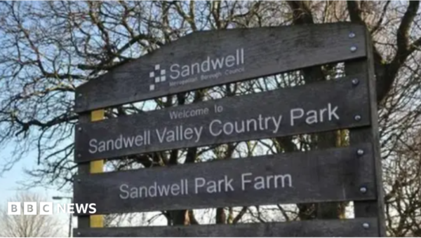 Body of missing woman found in park pool
