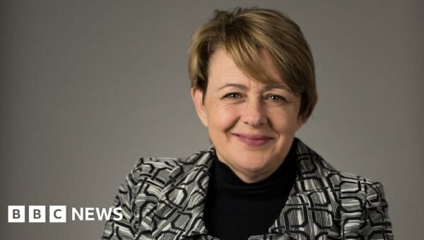 Paralympic champion backs plans to fine airlines which fail disabled travellers